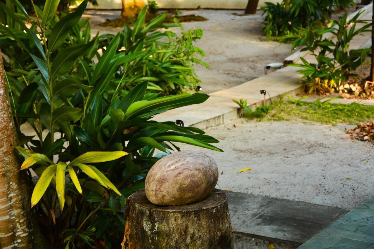 Pousada Vila Palma Boipeba Velha Boipeba Esterno foto